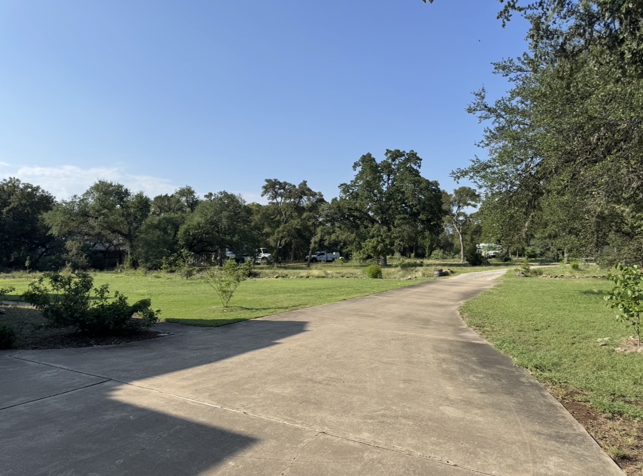 An empty concrete driveway through a lawn lined with live oaks — low-context source image